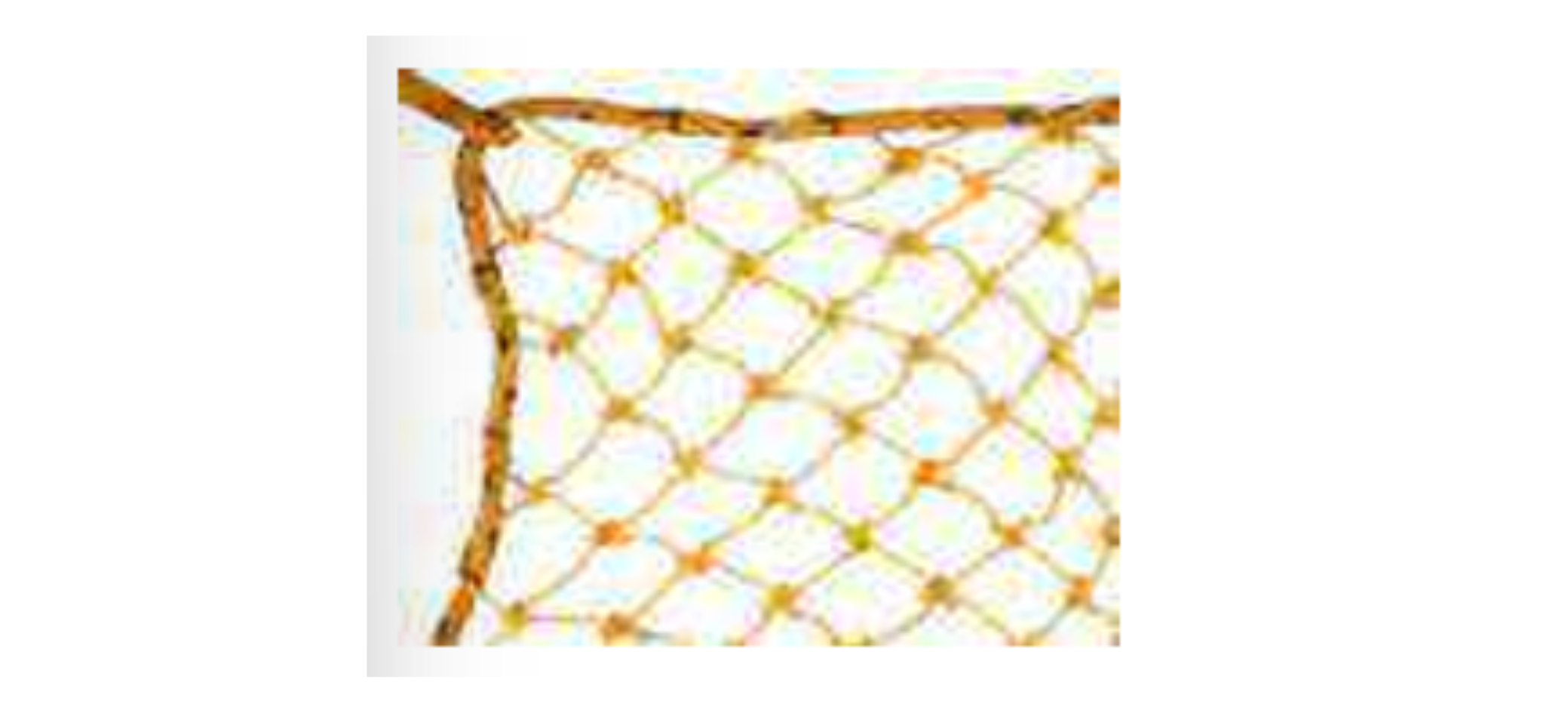 Safety Net exporter in India