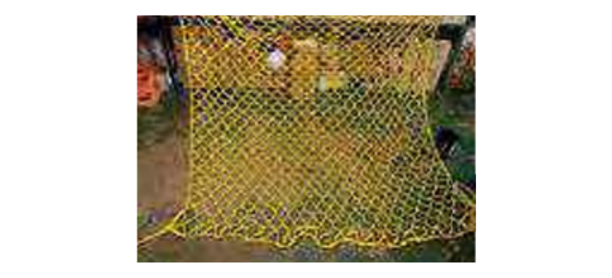 Safety Net supplier in India
