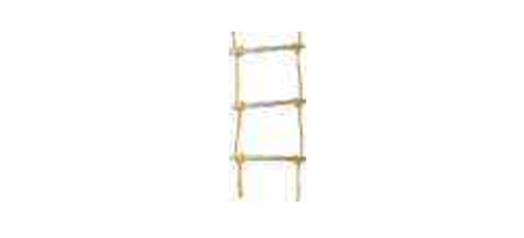top Safety Ladder exporter in India