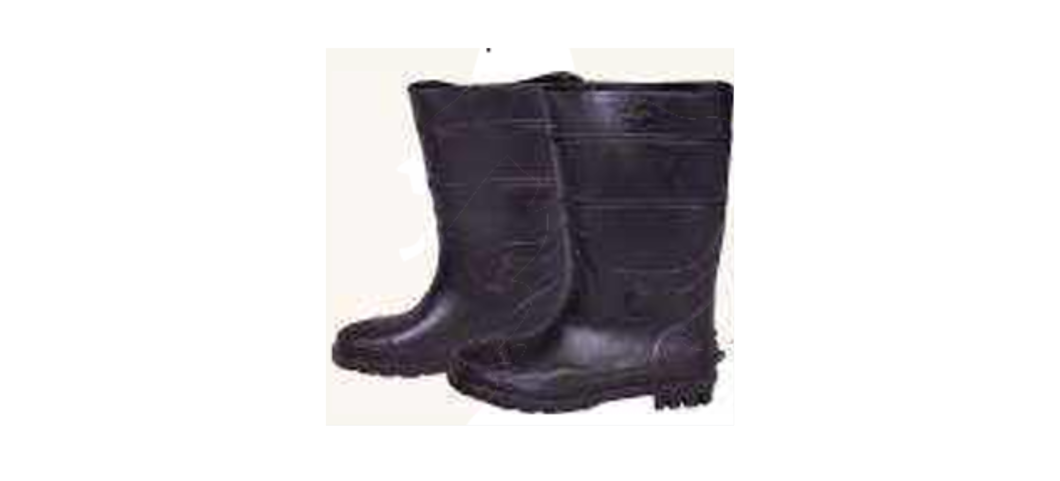 Safety Shoes exporter in India