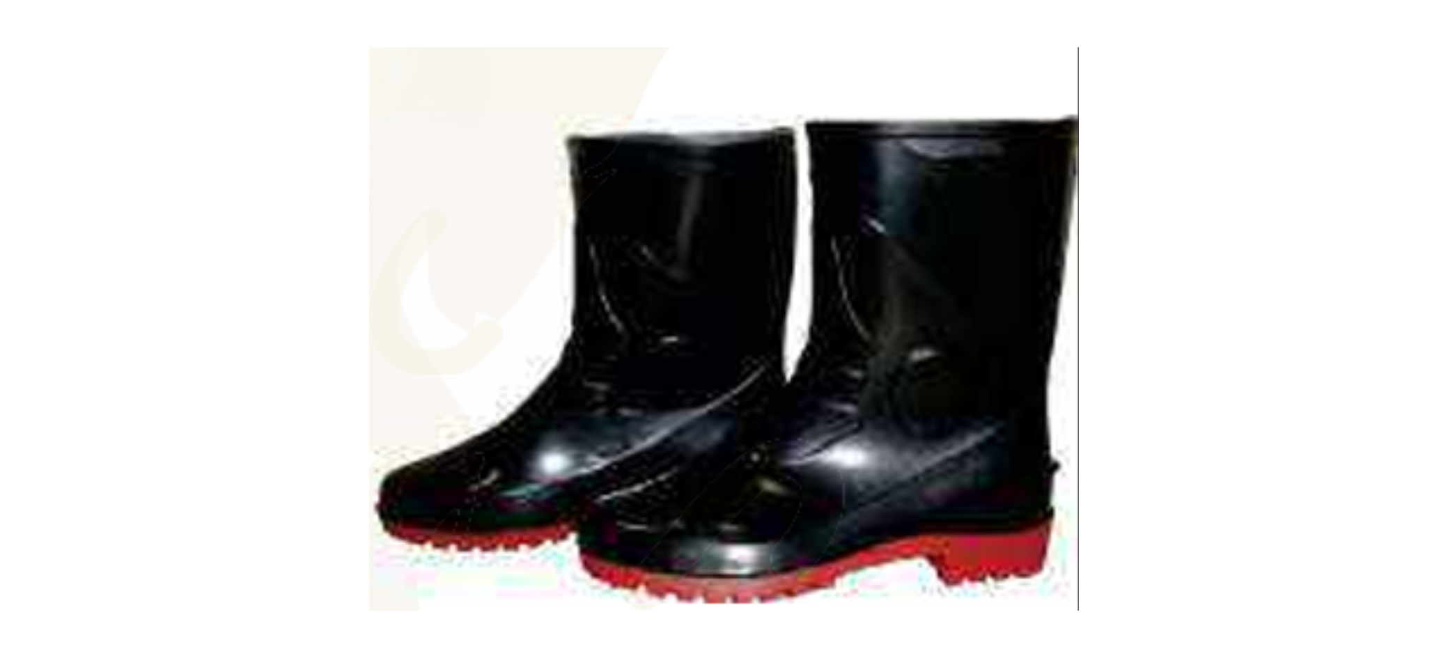 Safety Shoes supplier in India