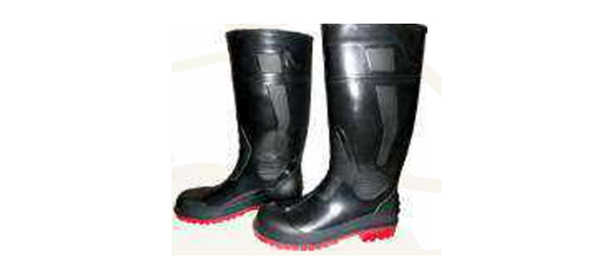 Safety Shoes supplier in India