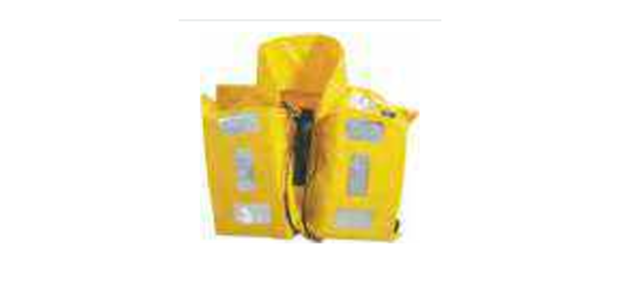 Safety Lifebuoy supplier in India