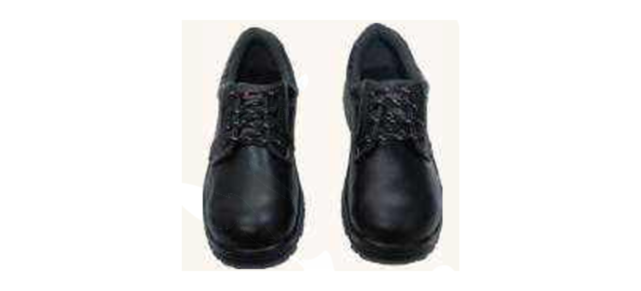 Safety Shoes supplier in India