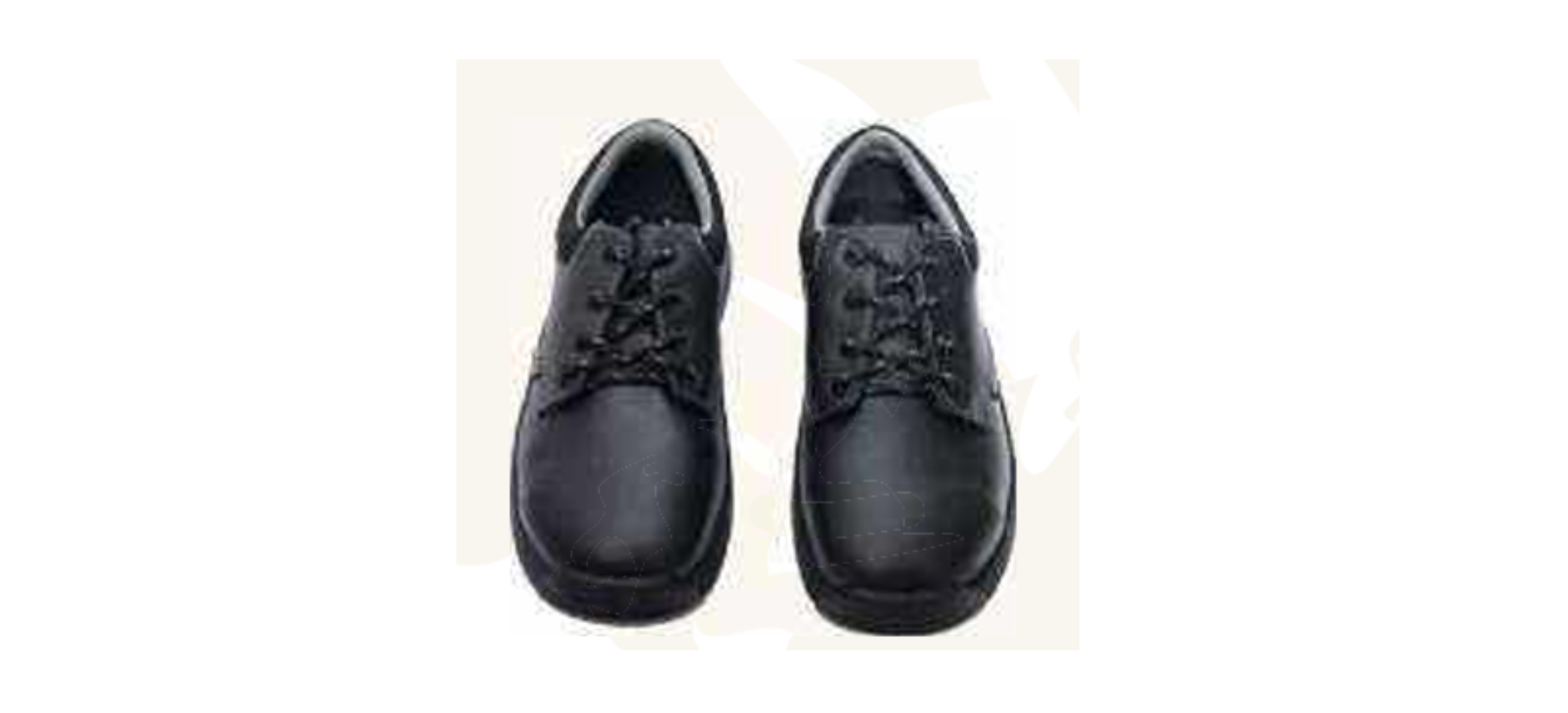 Safety Shoes manufacturer in India