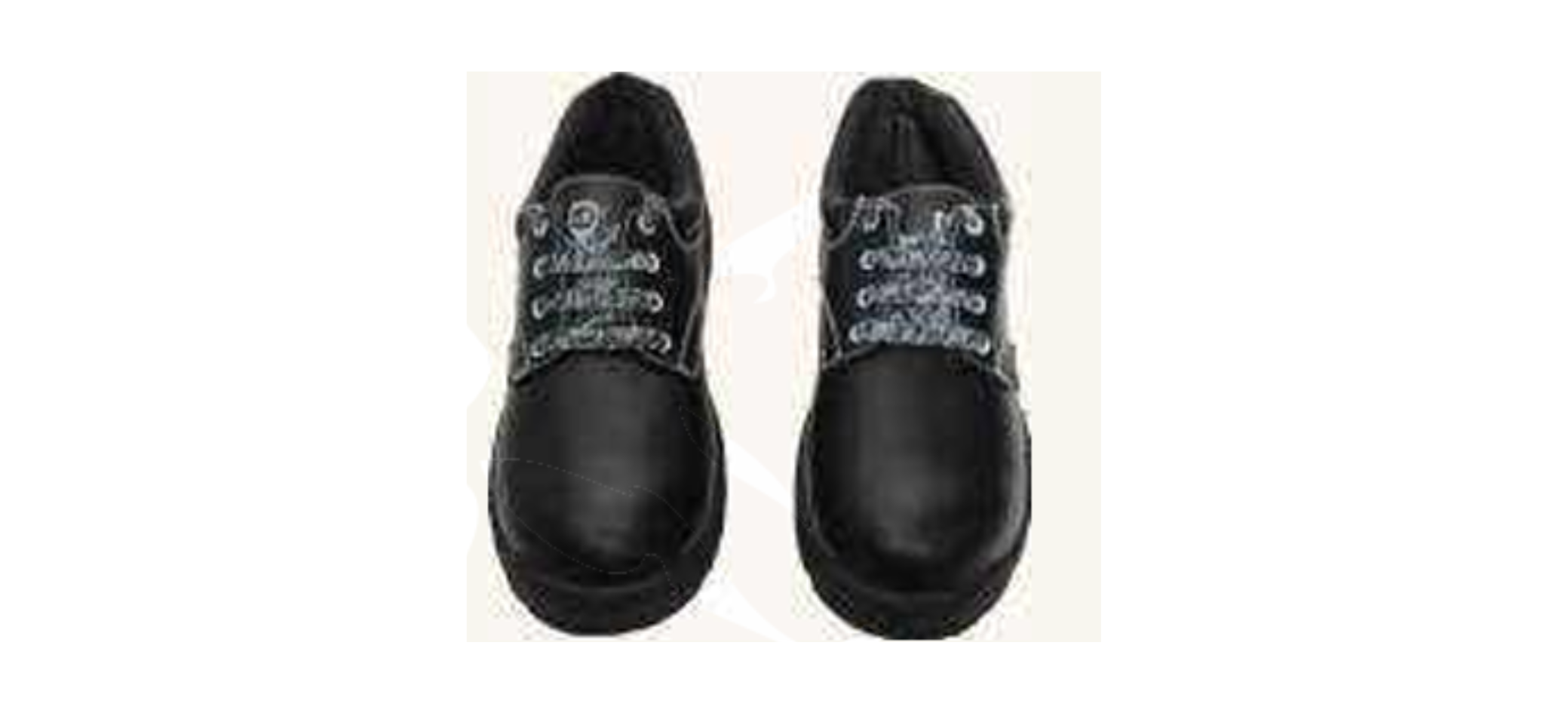 Safety Shoes supplier in India