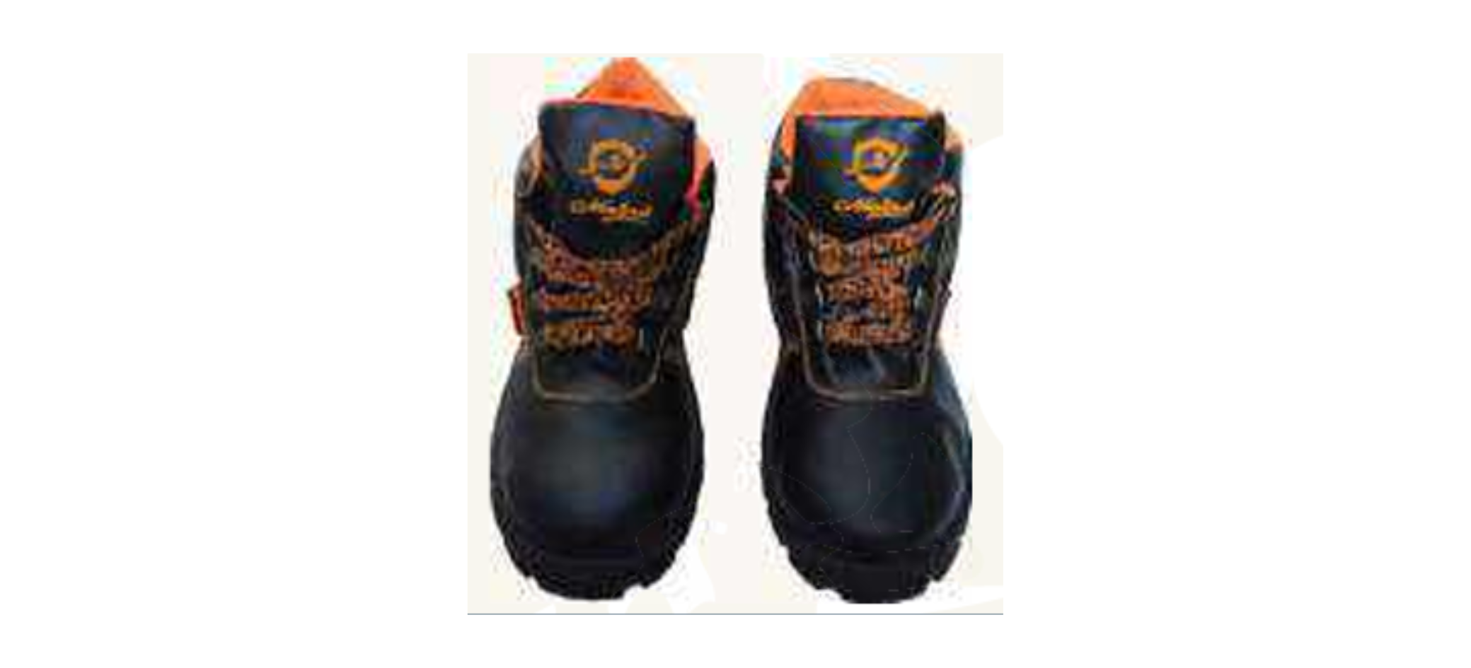 Safety Shoes supplier in India
