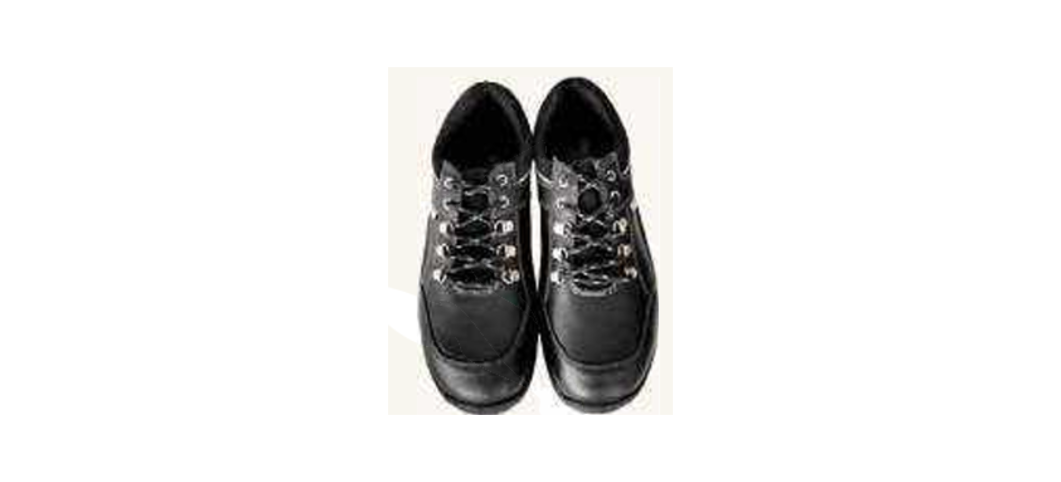 Safety Shoes supplier in India