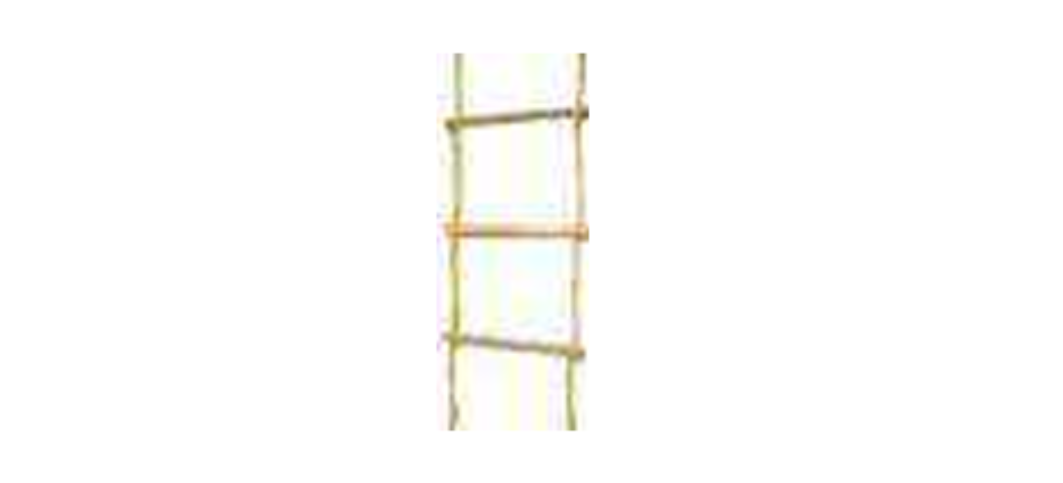 top Safety Ladder supplier in India